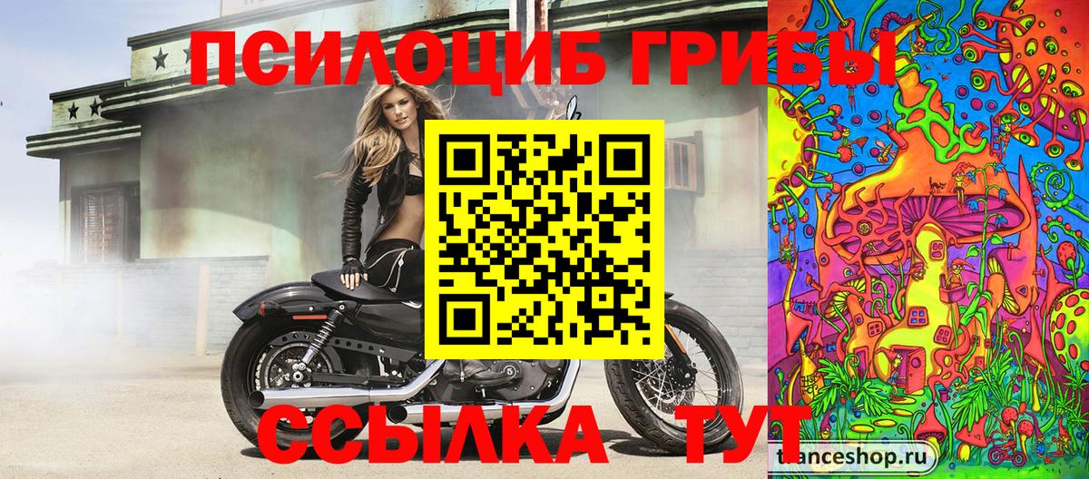 Ачхой-Мартан  Псилоцибиновые грибы мухоморы  Вход с VPN  Галлюциногенные грибы мицелий 