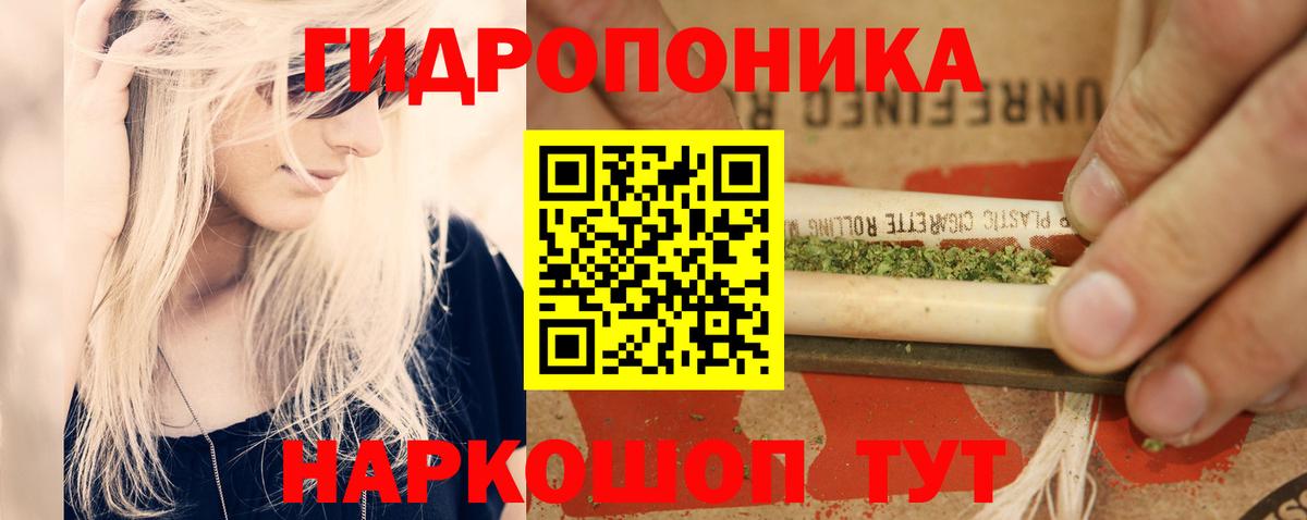 Канабис Ganja  Ачхой-Мартан  Шишки марихуана OG Kush  Конопля Amnesia  Канабис план 